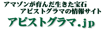 アピストグラマ.jp